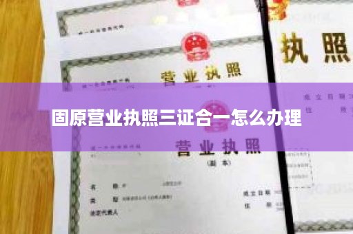 固原营业执照三证合一怎么办理