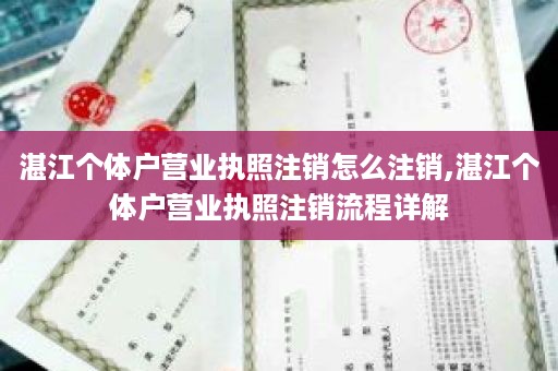 湛江个体户营业执照注销怎么注销,湛江个体户营业执照注销流程详解