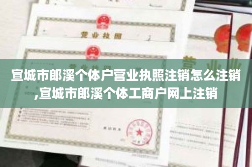 宣城市郎溪个体户营业执照注销怎么注销,宣城市郎溪个体工商户网上注销