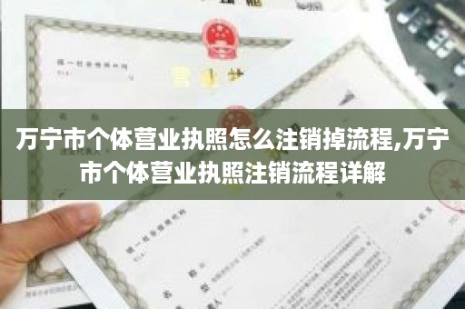 万宁市个体营业执照怎么注销掉流程,万宁市个体营业执照注销流程详解