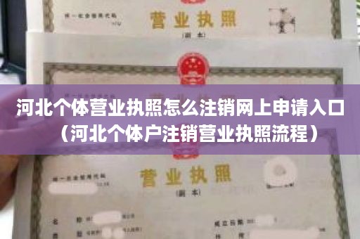 河北个体营业执照怎么注销网上申请入口（河北个体户注销营业执照流程）