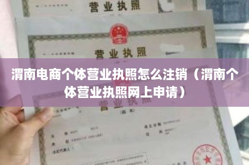 渭南电商个体营业执照怎么注销（渭南个体营业执照网上申请）