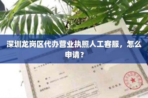 深圳龙岗区代办营业执照人工客服，怎么申请？