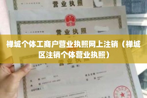 禅城个体工商户营业执照网上注销（禅城区注销个体营业执照）