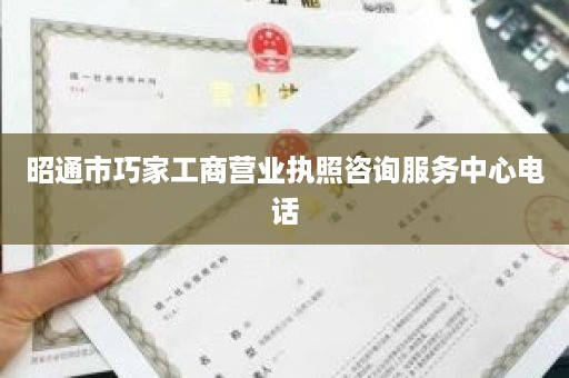 昭通市巧家工商营业执照咨询服务中心电话