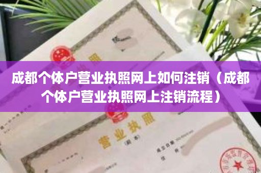 成都个体户营业执照网上如何注销（成都个体户营业执照网上注销流程）