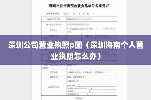 深圳公司营业执照p图（深圳海南个人营业执照怎么办）
