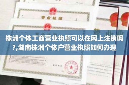 株洲个体工商营业执照可以在网上注销吗?,湖南株洲个体户营业执照如何办理