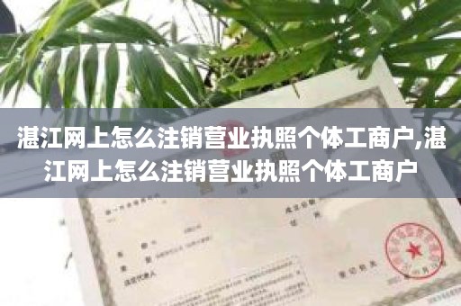 湛江网上怎么注销营业执照个体工商户,湛江网上怎么注销营业执照个体工商户