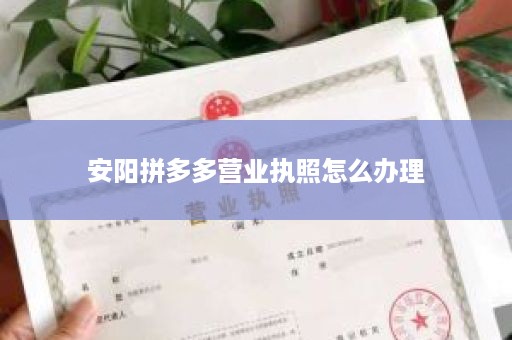 安阳拼多多营业执照怎么办理