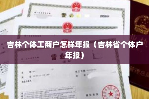 吉林个体工商户怎样年报（吉林省个体户年报）