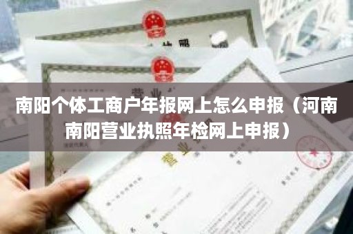 南阳个体工商户年报网上怎么申报（河南南阳营业执照年检网上申报）