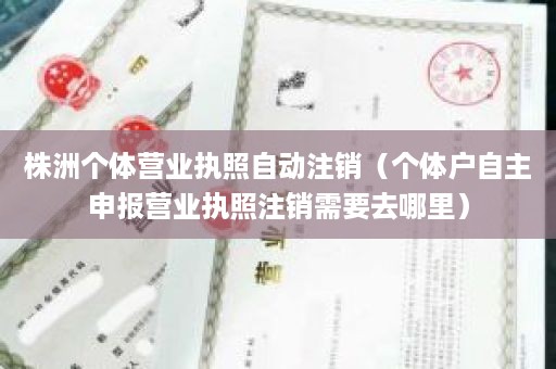 株洲个体营业执照自动注销（个体户自主申报营业执照注销需要去哪里）