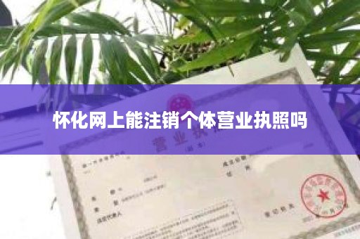 怀化网上能注销个体营业执照吗