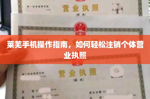 莱芜手机操作指南，如何轻松注销个体营业执照