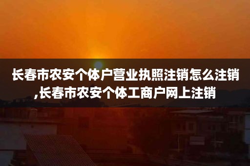 长春市农安个体户营业执照注销怎么注销,长春市农安个体工商户网上注销