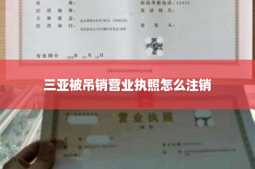 三亚被吊销营业执照怎么注销