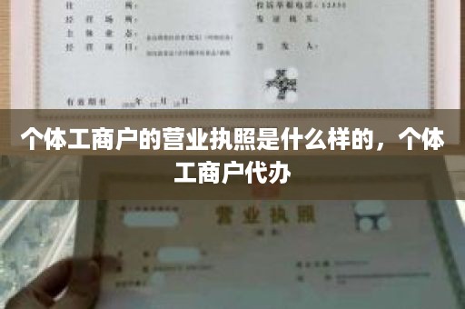 个体工商户的营业执照是什么样的，个体工商户代办