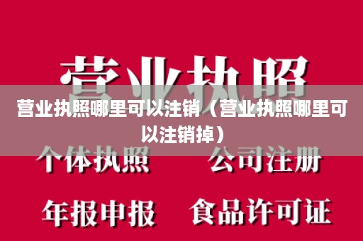 营业执照哪里可以注销（营业执照哪里可以注销掉）