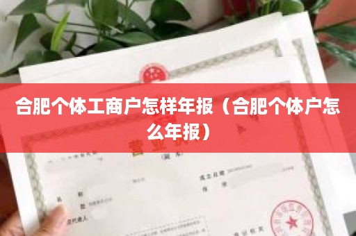 合肥个体工商户怎样年报（合肥个体户怎么年报）