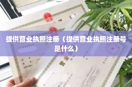 提供营业执照注册（提供营业执照注册号是什么）