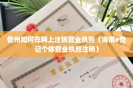 儋州如何在网上注销营业执照（海南e登记个体营业执照注销）