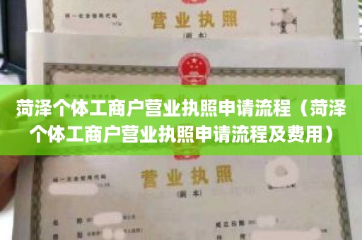 菏泽个体工商户营业执照申请流程（菏泽个体工商户营业执照申请流程及费用）