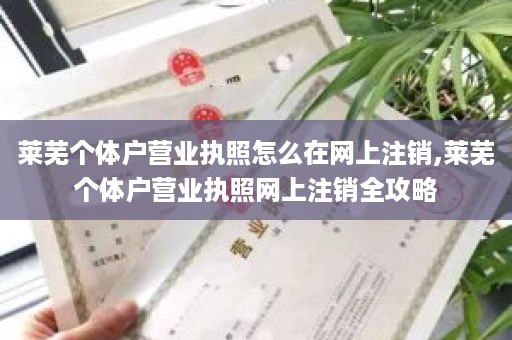 莱芜个体户营业执照怎么在网上注销,莱芜个体户营业执照网上注销全攻略