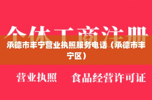 承德市丰宁营业执照服务电话（承德市丰宁区）