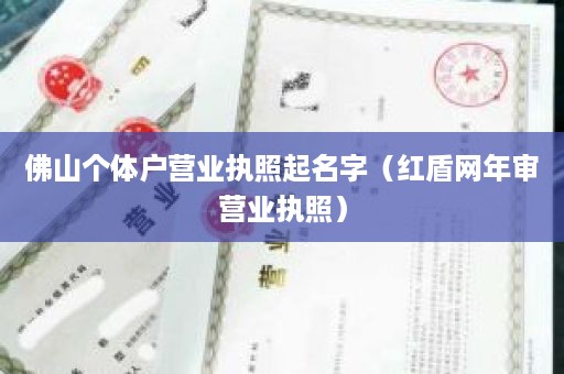 佛山个体户营业执照起名字（红盾网年审营业执照）