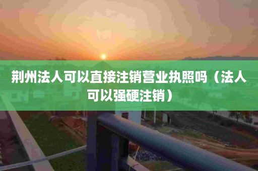 荆州法人可以直接注销营业执照吗（法人可以强硬注销）