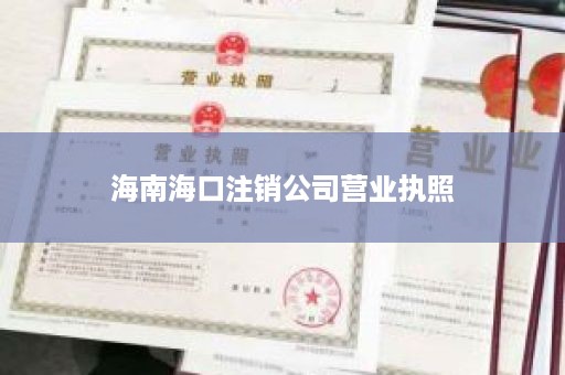 海南海口注销公司营业执照