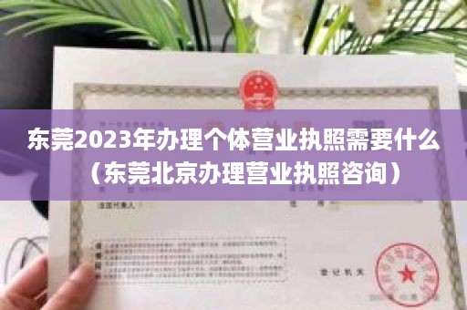 东莞2023年办理个体营业执照需要什么（东莞北京办理营业执照咨询）