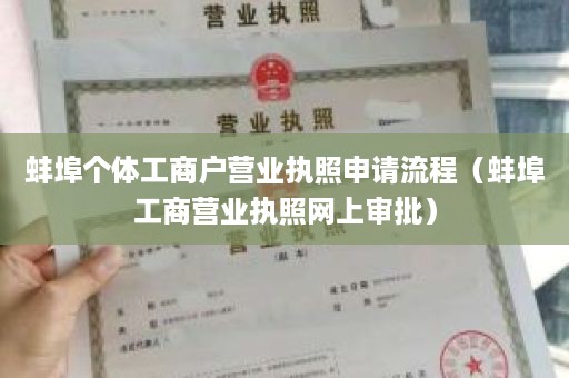 蚌埠个体工商户营业执照申请流程（蚌埠工商营业执照网上审批）