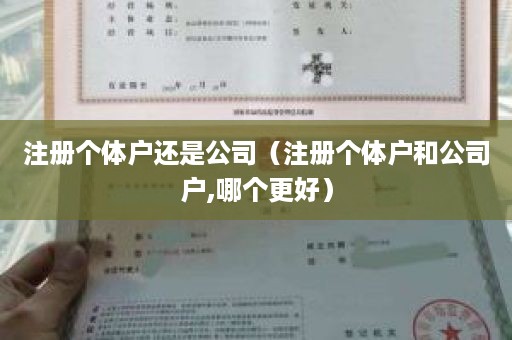 注册个体户还是公司（注册个体户和公司户,哪个更好）