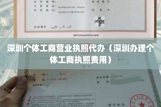 深圳个体工商营业执照代办（深圳办理个体工商执照费用）