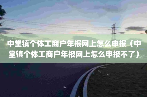 中堂镇个体工商户年报网上怎么申报（中堂镇个体工商户年报网上怎么申报不了）