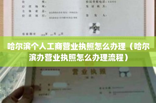 哈尔滨个人工商营业执照怎么办理（哈尔滨办营业执照怎么办理流程）