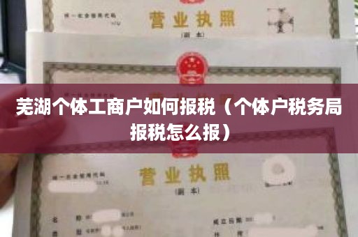 芜湖个体工商户如何报税（个体户税务局报税怎么报）