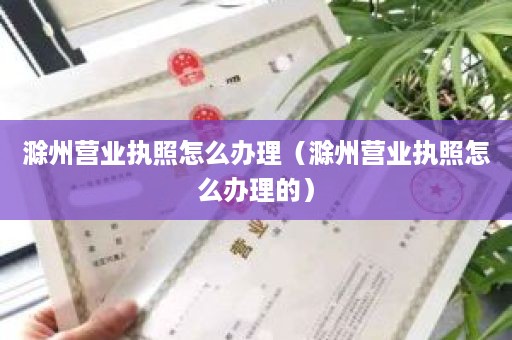 滁州营业执照怎么办理（滁州营业执照怎么办理的）