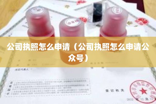 公司执照怎么申请（公司执照怎么申请公众号）