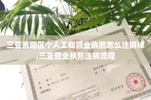 三亚吉阳区个人工商营业执照怎么注销掉,三亚营业执照注销流程