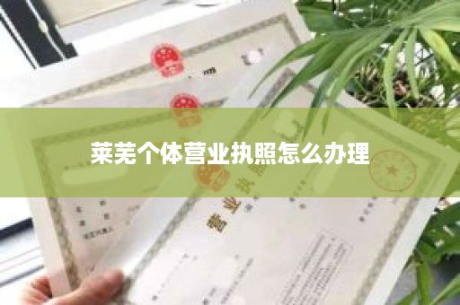 莱芜个体营业执照怎么办理