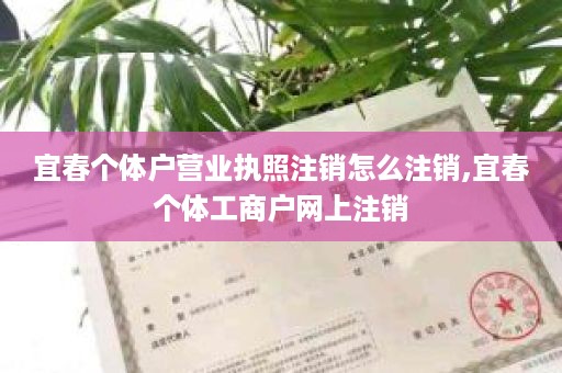 宜春个体户营业执照注销怎么注销,宜春个体工商户网上注销