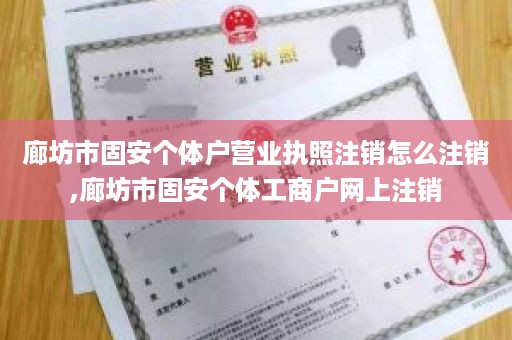 廊坊市固安个体户营业执照注销怎么注销,廊坊市固安个体工商户网上注销