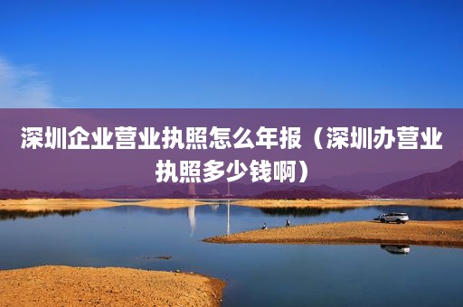 深圳企业营业执照怎么年报（深圳办营业执照多少钱啊）