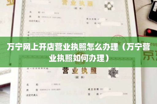 万宁网上开店营业执照怎么办理（万宁营业执照如何办理）