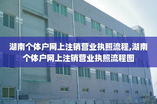 湖南个体户网上注销营业执照流程,湖南个体户网上注销营业执照流程图