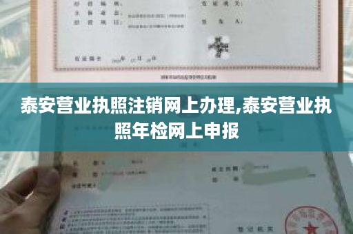 泰安营业执照注销网上办理,泰安营业执照年检网上申报