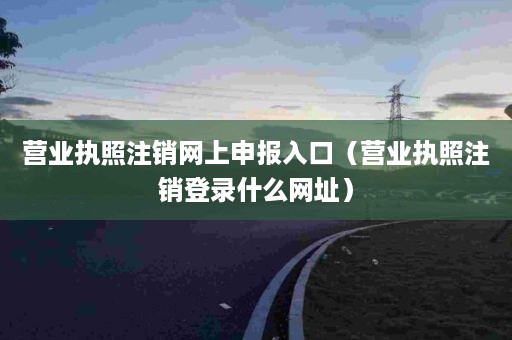 营业执照注销网上申报入口（营业执照注销登录什么网址）